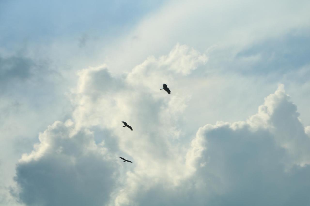 Hotel Eagle Zone Pokhara Zewnętrze zdjęcie